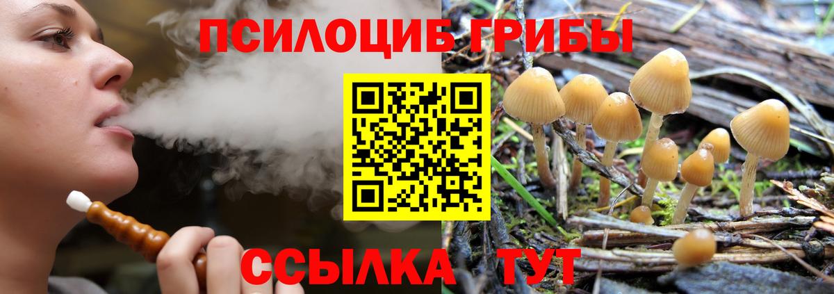 Галлюциногенные грибы Psilocybine cubensis Краснотурьинск